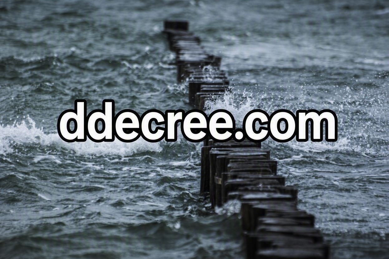 Ddecree 6
