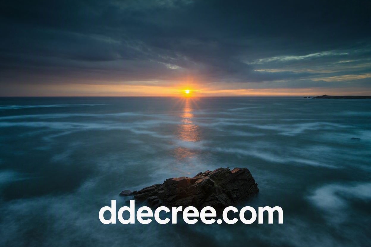 Ddecree 8