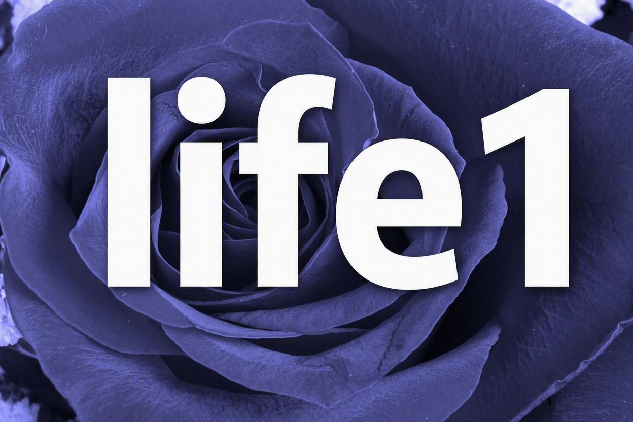 Life1 4